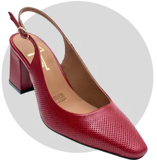 Janet Zapato Piel Rojo